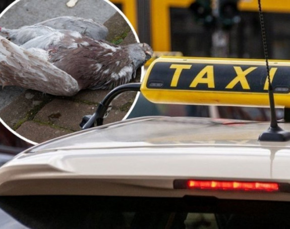 Japanski taksista uhapšen jer je namerno pregazio goluba!