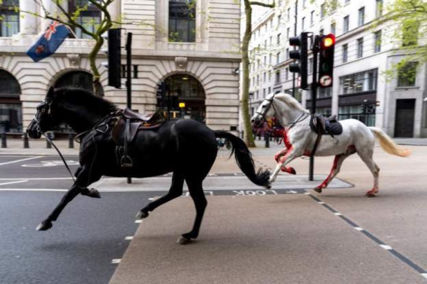 Коњи побјегли са вјежбе, јуре центром Лондона (ВИДЕО)