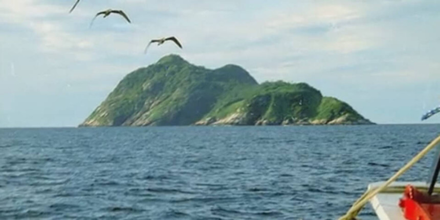 Najopasnije ostrvo na svijetu: Na svakom kvadratnom metru pet zmija otrovnica