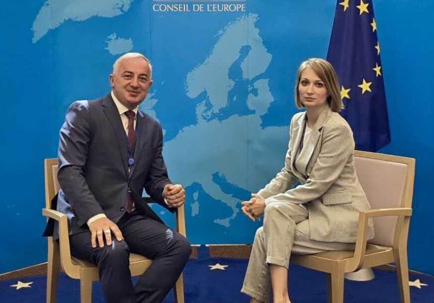 Borenović sa šeficom Delegacije Srbije u Savjetu Evrope