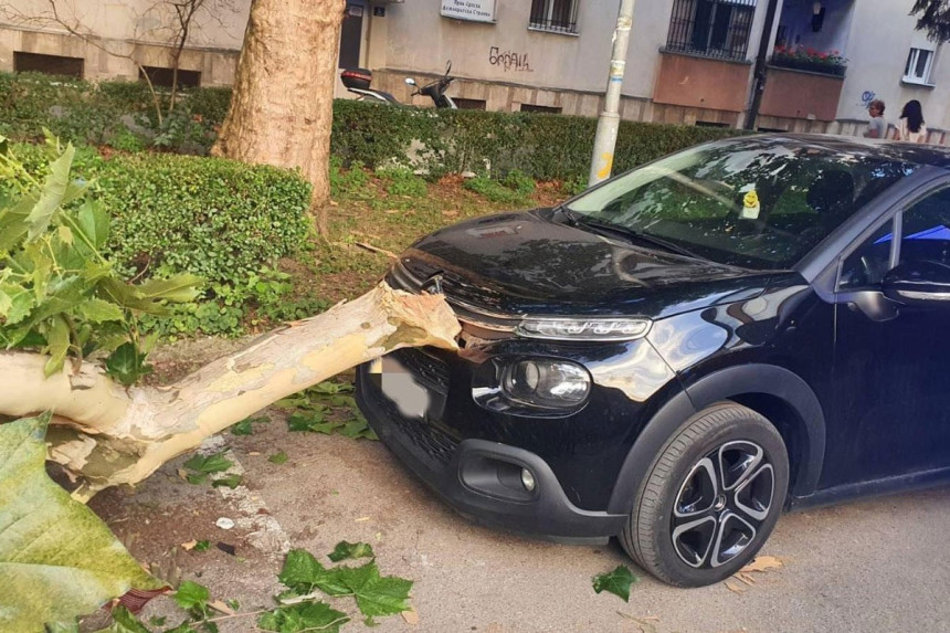 Banjaluka: Ogranak zdravog stabla pao i oštetio automobil