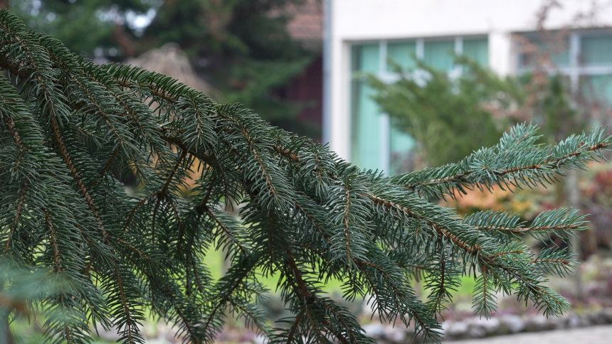 Данас сунчано, температура ваздуха и до 20 степени