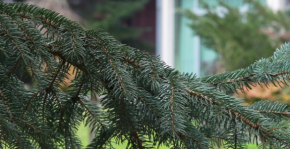 Danas sunčano, temperatura vazduha i do 20 stepeni