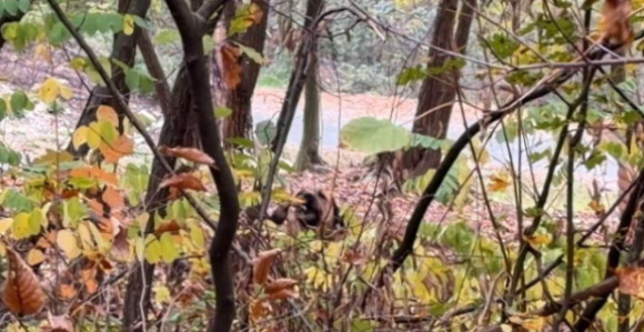 Данас ће бити топло и промјенљиво облачно вријеме