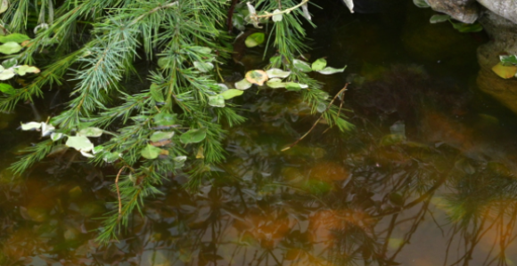 Danas sunčano i toplije od prosjeka, do 20 stepeni