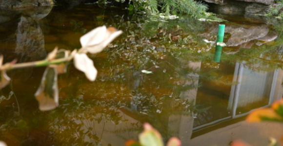 U većini krajeva uglavnom sunčano, do 20 stepeni