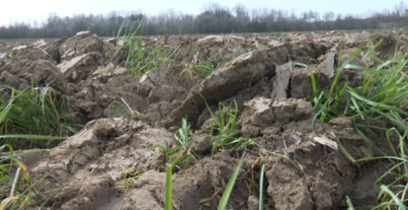 Poljoprivrednici Semberije ogorčeni: Gdje su zalihe?