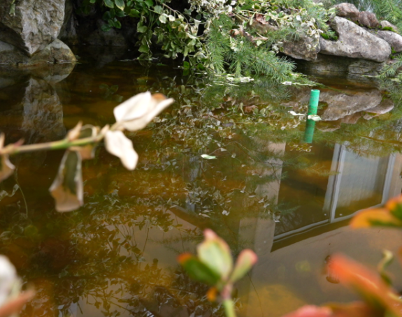 U većini krajeva uglavnom sunčano, do 20 stepeni