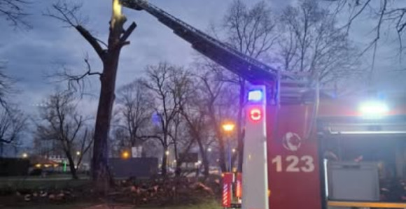 Гром ударио у дрво током невремена у Бањалуци