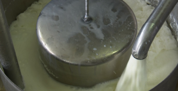 Пољопривредници чекају исплату четири премије за млијеко