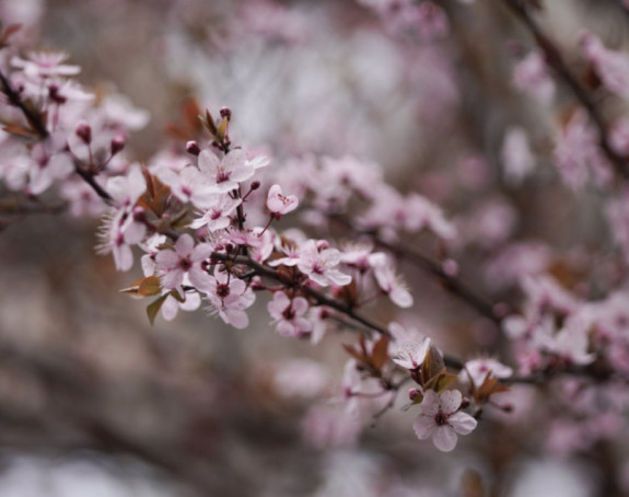 Vrijeme danas: Promjenjivo, smjena sunca, oblaka i kiše