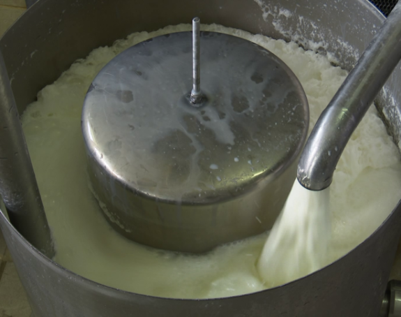 Poljoprivrednici čekaju isplatu četiri premije za mlijeko