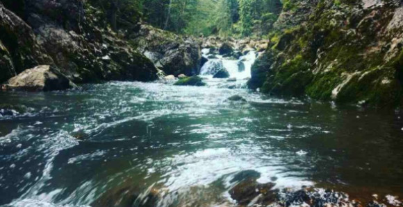 Интереси моћника угрожавају још једну ријеку у РС