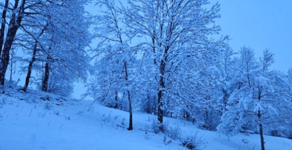 Сњежне падавине захватиле су већи дио Херцеговине