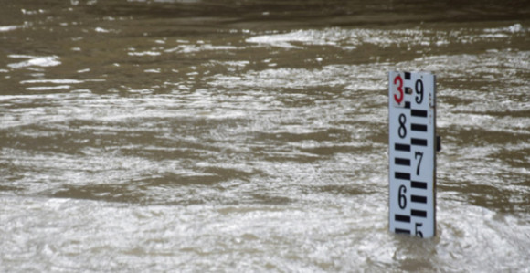 Сава и Дрина далеко испод редовне одбране од поплава