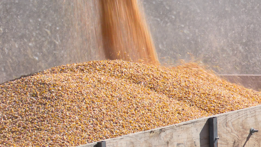 Poljoprivrednici u problemu, sjetva skuplja i do 50%