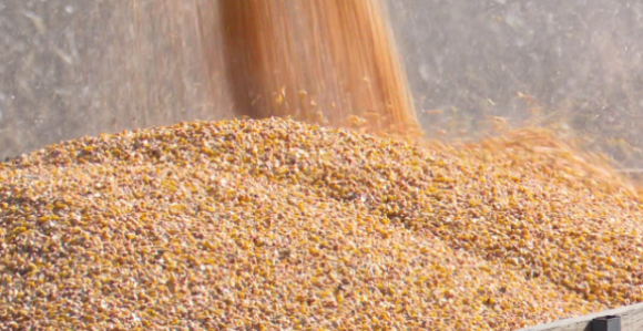 Пољопривредници у проблему, сјетва скупља и до 50%