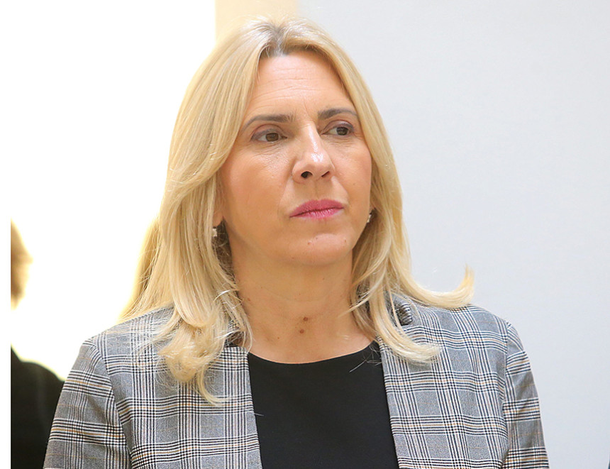 Цвијановић: Даћемо додатни полет америчким инвеститорима