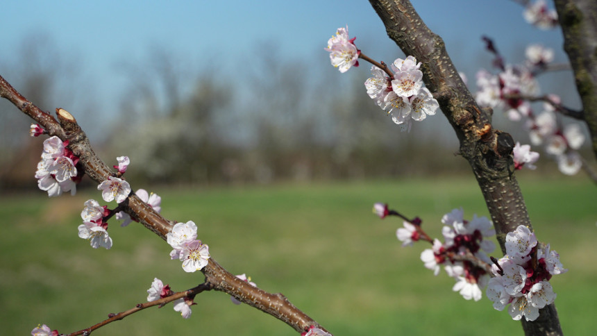 Претежно сунчано уз пролазну облачност, до 21 степен