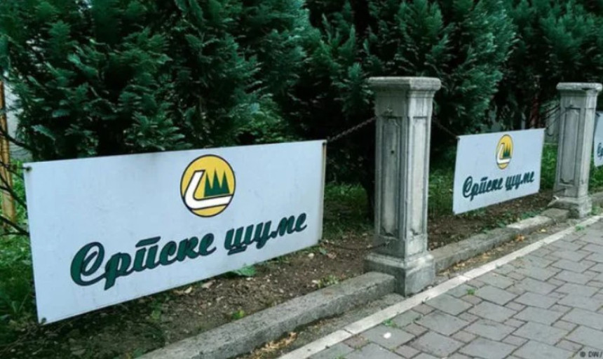 Управа "Шума РС" наредила "пеглање" милионског губитка?