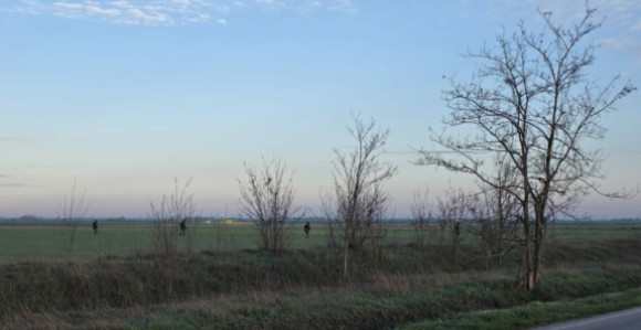 Виктор Орбан кренуо ка мађарско-српској граници