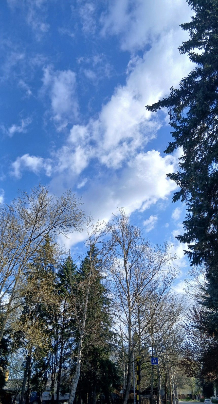 Прије подне сунчано и топло вријеме, касније облачно