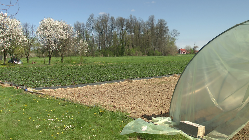 Za poljoprivredu svaka godina sve teža, ova je strahovita