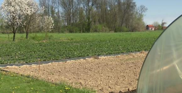 Za poljoprivredu svaka godina sve teža, ova je strahovita