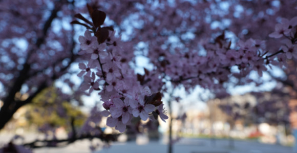 Šta kaže prognoza, kakvo nas vrijeme čeka za Vaskrs?