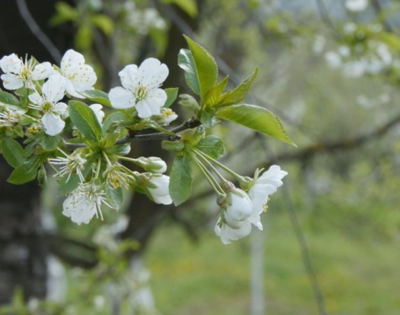 Tokom vikenda sunčano i toplo, uz malu oblačnost
