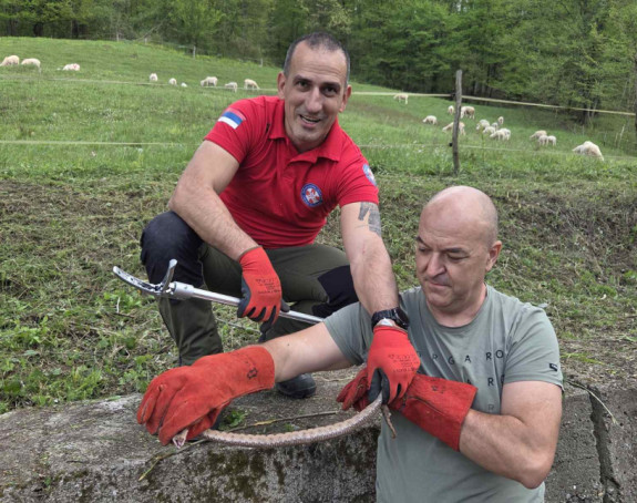Lopare, upozorenje: Uočene zmije - poskoci u blizini škole