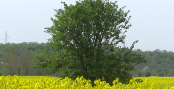 Oblačno i svježije vrijeme sa kišom, na jugu do 22°C
