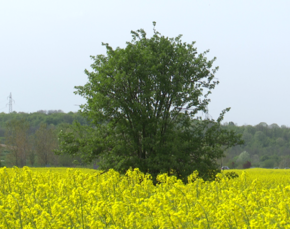 Oblačno i svježije vrijeme sa kišom, na jugu do 22°C
