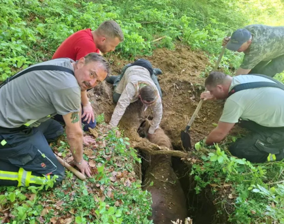 Drama u Hrvatskoj: Kobila i vlasnik upali u jamu