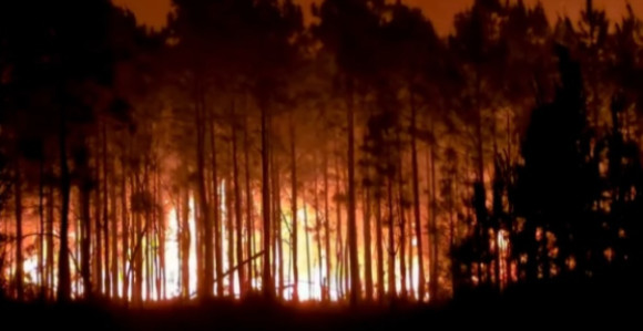 Požari pustoše Džordžiju: Izgorjelo 120 kuća