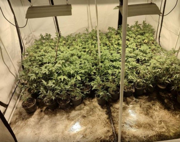 Uhapšena mlađa žena, pronađeno pet laboratorija