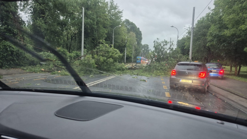 Nevrijeme stiglo u Zagreb: Padala stabla, stali tramvaji