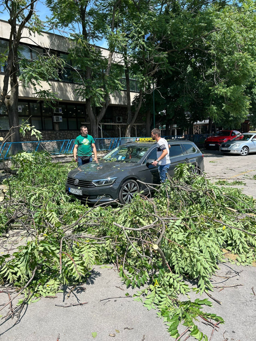 Невријеме рушило стабла, једно пало на такси возило