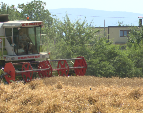 Otkupna cijena pšenice mora biti minimum 0,45 KM