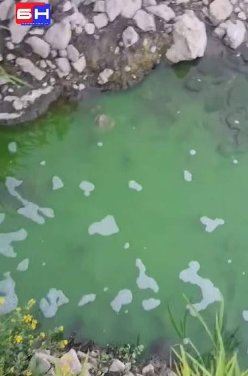Zelena tekućina izlila se u rijeku Bosna (VIDEO)
