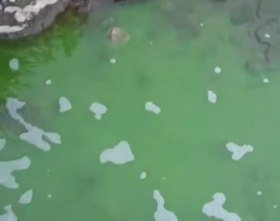 Zelena tekućina izlila se u rijeku Bosna (VIDEO)