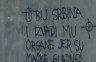 Ubij Srbina, izvadi mu organe, jer su mačke gladne