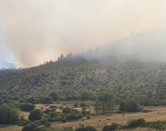 Požar u Čapljini: Ugrožene kuće, vatru gase i Air Tractori