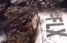 Bahami: Srušio se mali avion, poginuli svi putnici (VIDEO)