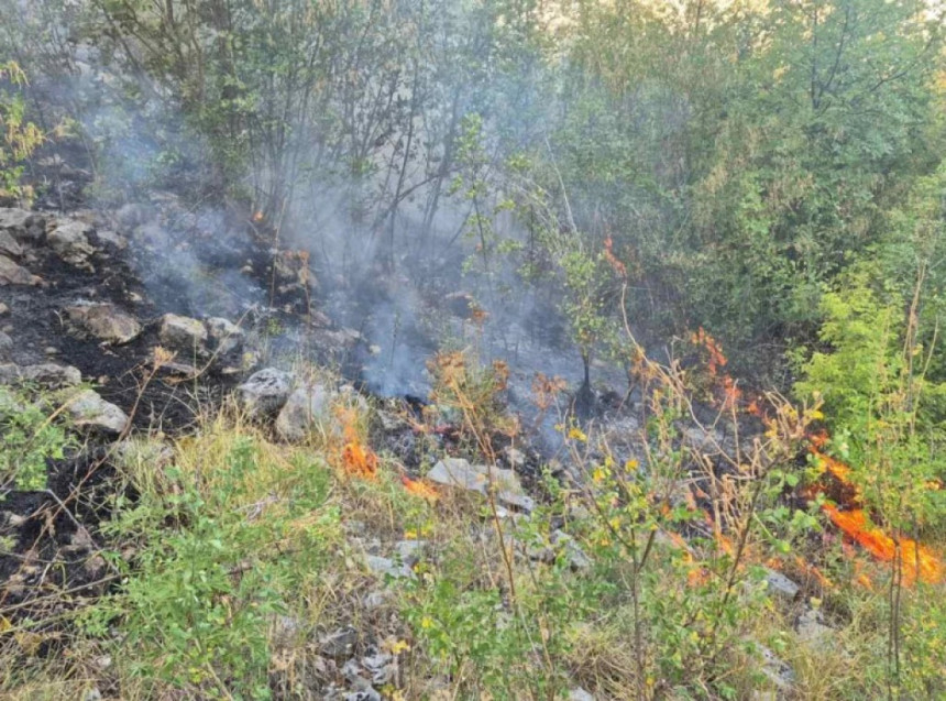Drugi dan požar na Korčuli i dalje gori, stižu pojačanja