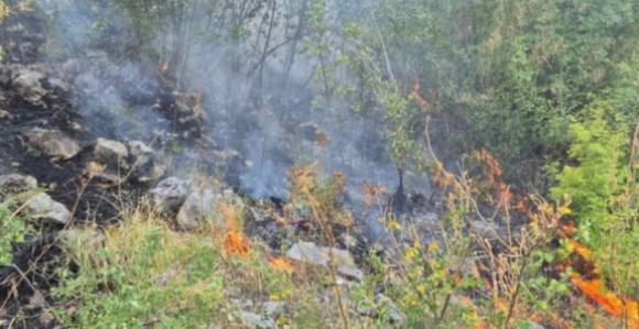 Drugi dan požar na Korčuli i dalje gori, stižu pojačanja