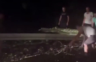 Idete na more? Može, ali prvo sami sklonite drvo sa puta (VIDEO)