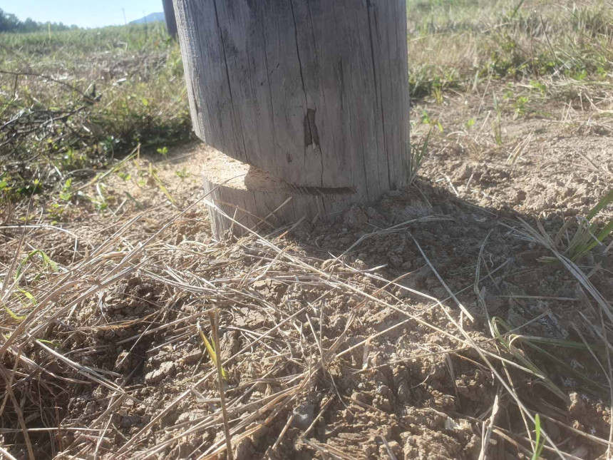 Mještani Podnovlja spriječili sječenje bilborda (VIDEO/FOTO)