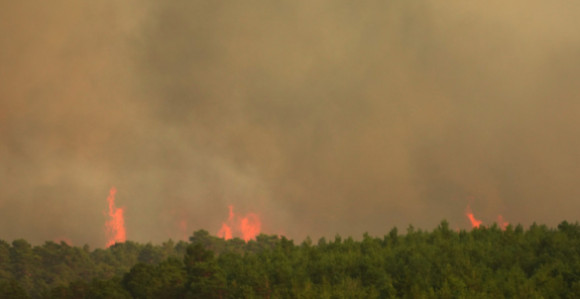 Požari u Španiji i Francuskoj, hiljade ljudi evakuisano