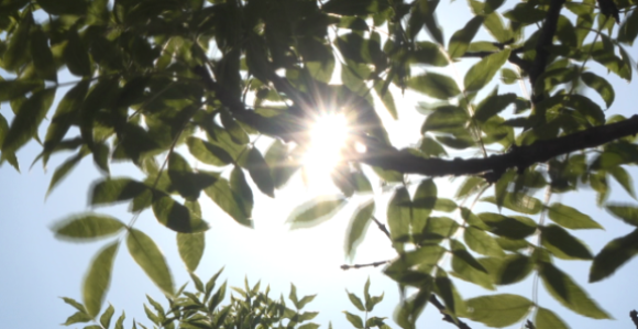 Vrhunac vrućina u narednih sedam do deset dana